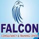 Falcon Consultancy and Training Center